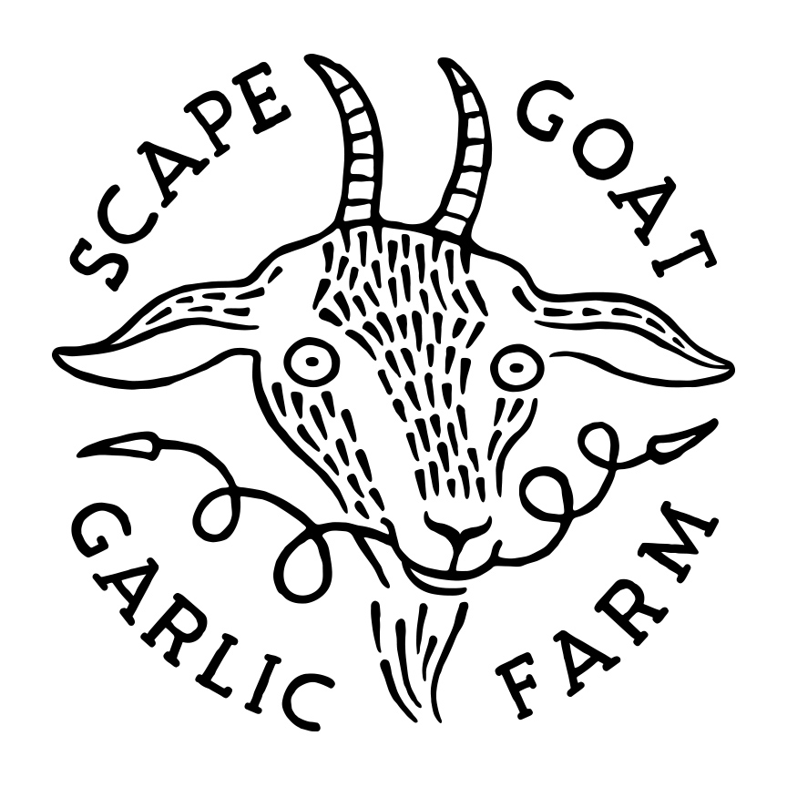 SCAPE GOAT GARLIC FARM | Scott Whitehouse Graphic Design & Illustration